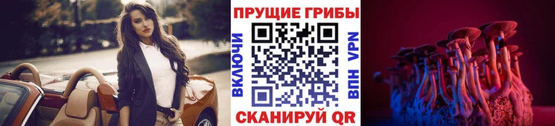цена наркотик  ссылка на мегу сайт  Псилоцибиновые грибы Psilocybine cubensis  Грязовец 